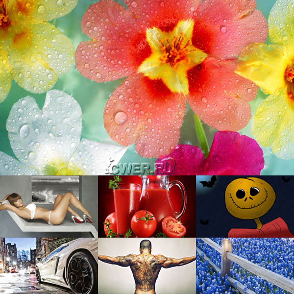 New Mixed HD Wallpapers Pack 37