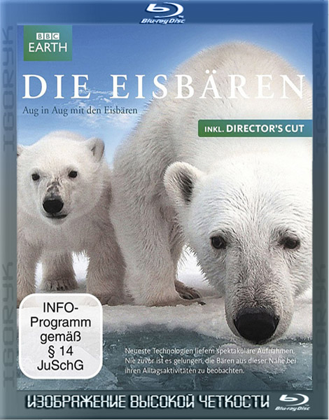 Белый медведь: Шпион во льдах (2010) BDRip