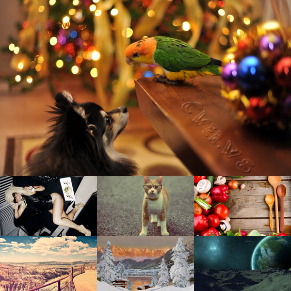New Mixed HD Wallpapers Pack 99
