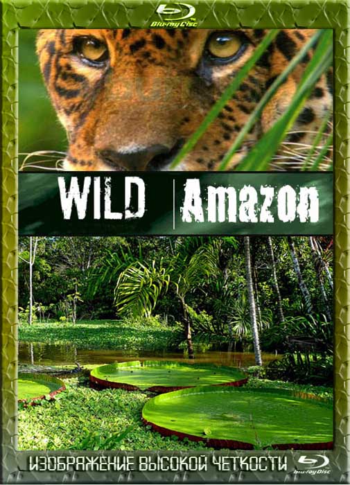 Дикая природа Амазонки