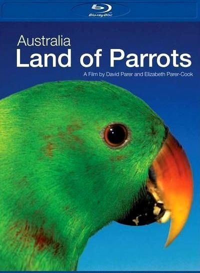 Австралия страна попугаев