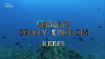 Смертоносная Африка. Рифы