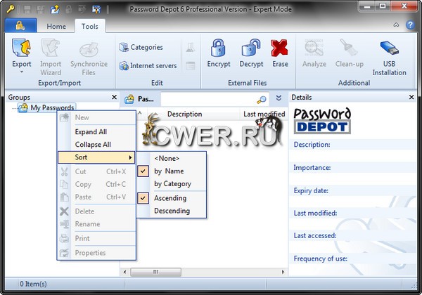 Password Depot Professional 6